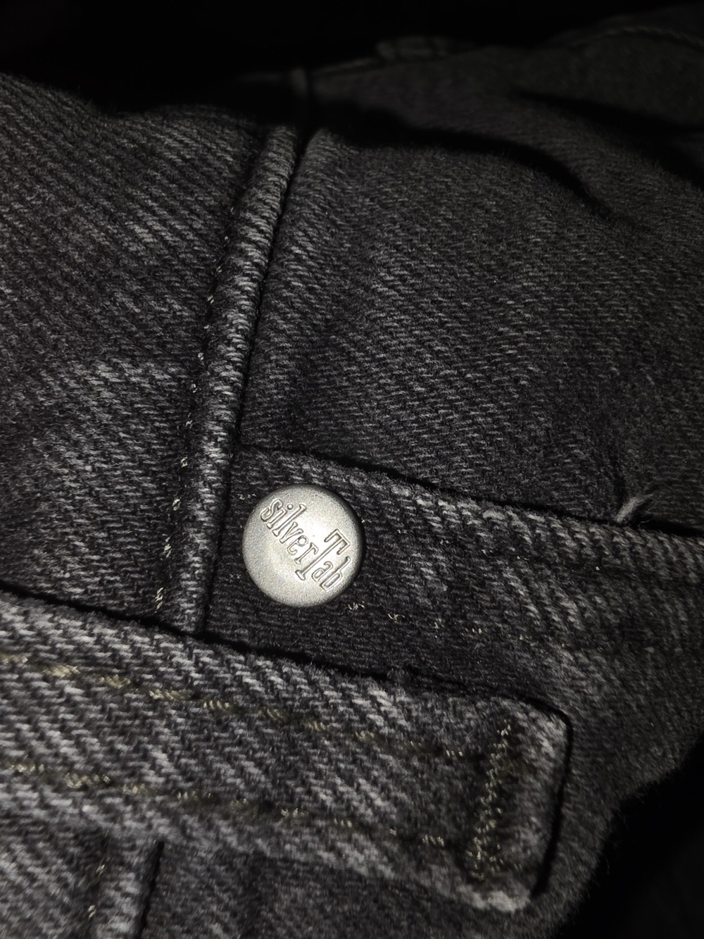 Sample Levi’s SilverTab Revival 90s/Y2K Baggy Grunge Jeans